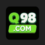 Q988 Game