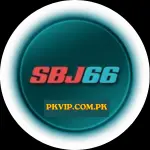 SBJ66 Game