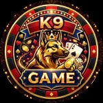 K9 Game